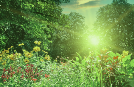 How Heatwaves Can Affect Business IT Equipment