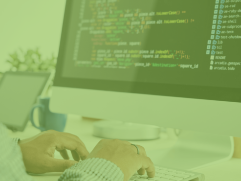 bespoke software